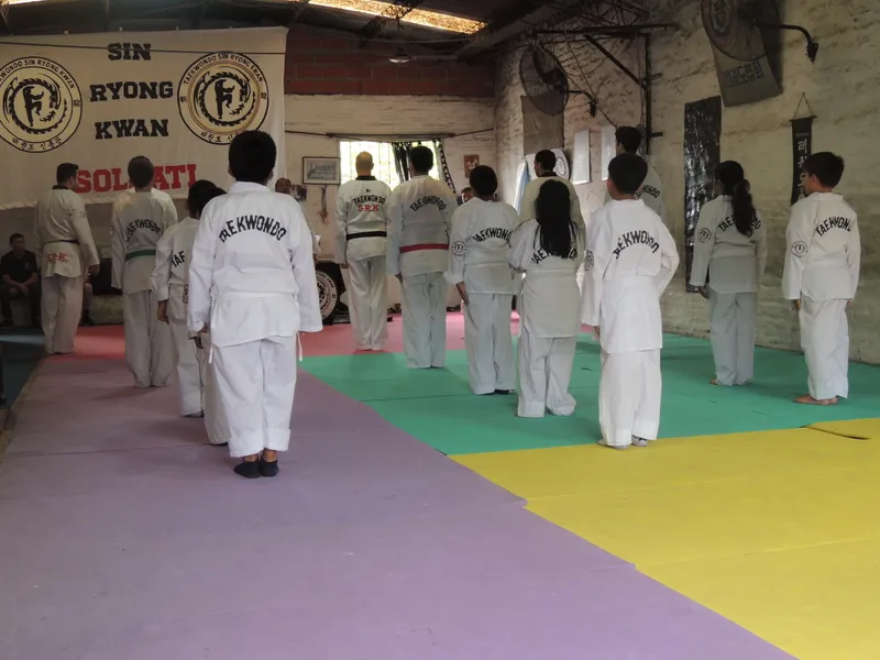 Examen de cinturones